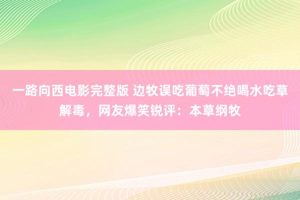 一路向西电影完整版 边牧误吃葡萄不绝喝水吃草解毒，网友爆笑锐评：本草纲牧