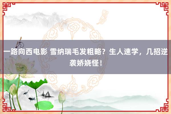 一路向西电影 雪纳瑞毛发粗略？生人速学，几招逆袭娇娆怪！