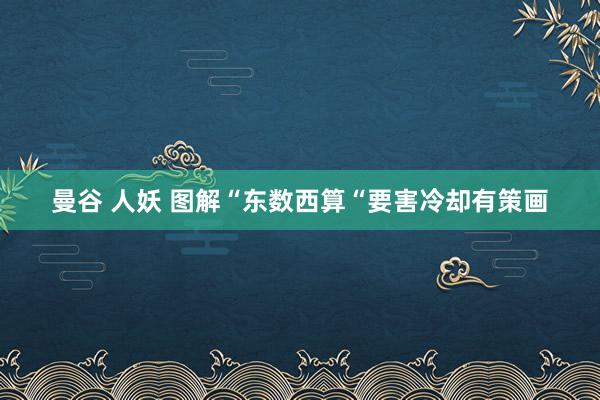 曼谷 人妖 图解“东数西算“要害冷却有策画