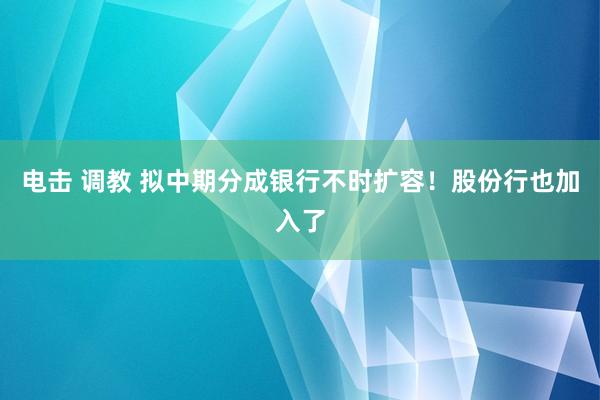 电击 调教 拟中期分成银行不时扩容！股份行也加入了