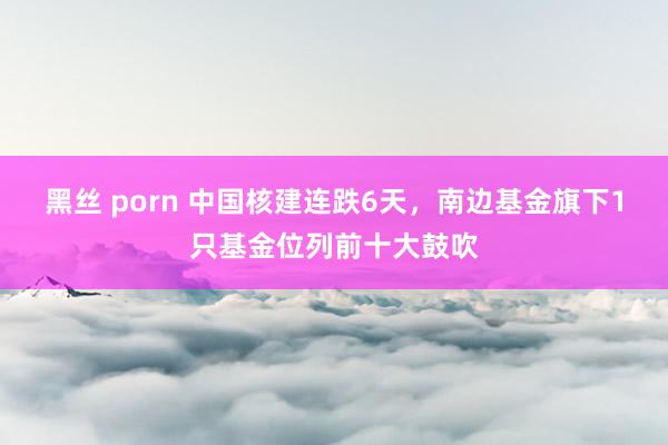 黑丝 porn 中国核建连跌6天，南边基金旗下1只基金位列前十大鼓吹