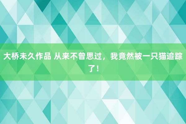 大桥未久作品 从来不曾思过，我竟然被一只猫追踪了！