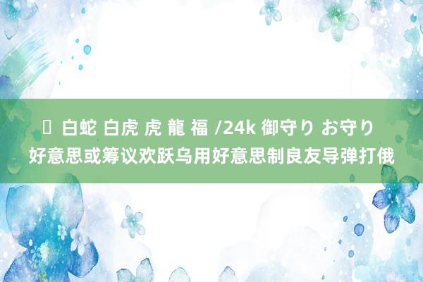 ✨白蛇 白虎 虎 龍 福 /24k 御守り お守り 好意思或筹议欢跃乌用好意思制良友导弹打俄