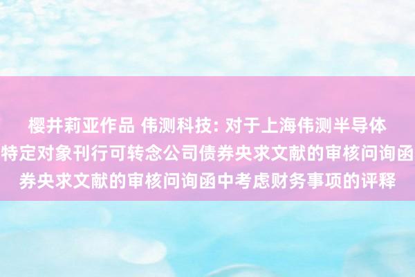 樱井莉亚作品 伟测科技: 对于上海伟测半导体科技股份有限公司向不特定对象刊行可转念公司债券央求文献的审核问询函中考虑财务事项的评释