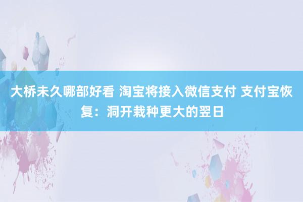 大桥未久哪部好看 淘宝将接入微信支付 支付宝恢复：洞开栽种更大的翌日