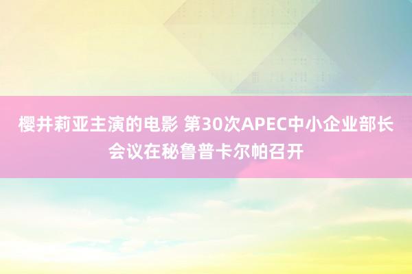 樱井莉亚主演的电影 第30次APEC中小企业部长会议在秘鲁普卡尔帕召开