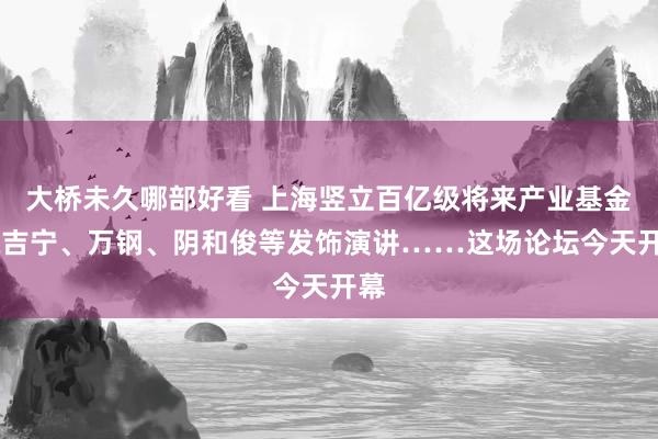 大桥未久哪部好看 上海竖立百亿级将来产业基金 陈吉宁、万钢、阴和俊等发饰演讲……这场论坛今天开幕