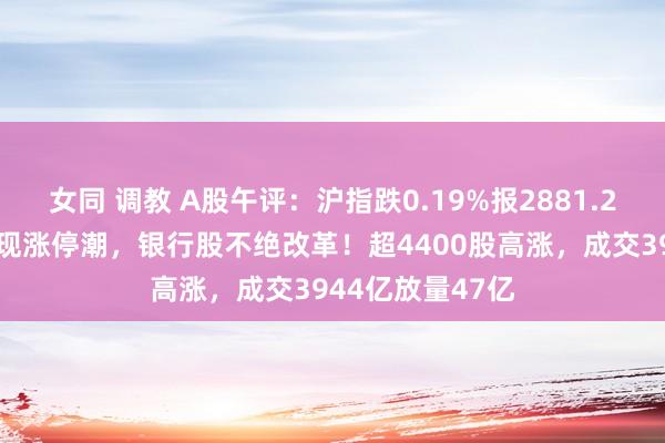 女同 调教 A股午评：沪指跌0.19%报2881.23点，家电池块现涨停潮，银行股不绝改革！超4400股高涨，成交3944亿放量47亿