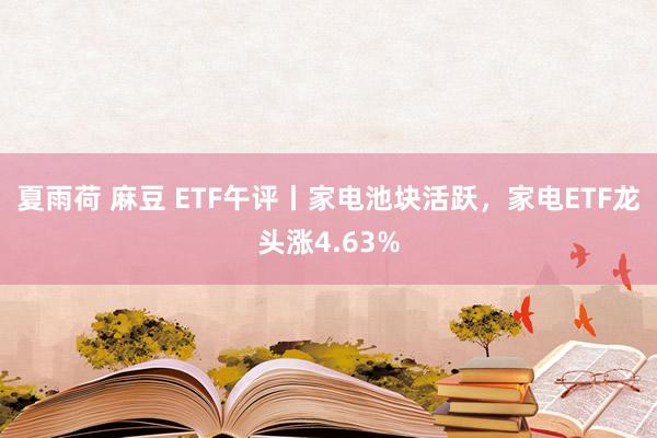 夏雨荷 麻豆 ETF午评丨家电池块活跃，家电ETF龙头涨4.63%