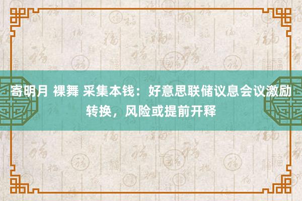 寄明月 裸舞 采集本钱：好意思联储议息会议激励转换，风险或提前开释