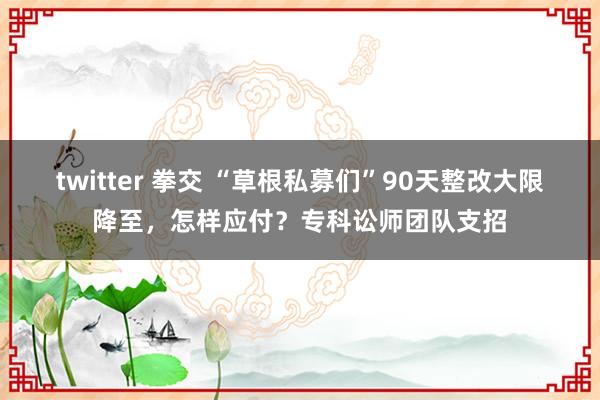 twitter 拳交 “草根私募们”90天整改大限降至，怎样应付？专科讼师团队支招