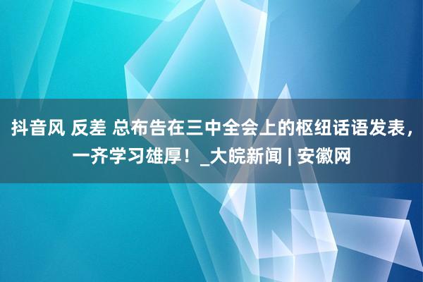 抖音风 反差 总布告在三中全会上的枢纽话语发表，一齐学习雄厚！_大皖新闻 | 安徽网