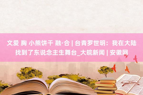 文爱 胸 小熊饼干 融·合 | 台青罗世明：我在大陆找到了东说念主生舞台_大皖新闻 | 安徽网