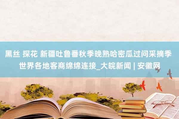 黑丝 探花 新疆吐鲁番秋季晚熟哈密瓜过问采摘季 世界各地客商绵绵连接_大皖新闻 | 安徽网