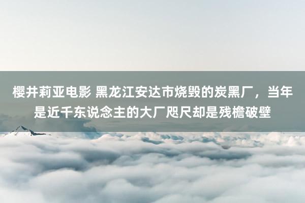 樱井莉亚电影 黑龙江安达市烧毁的炭黑厂，当年是近千东说念主的大厂咫尺却是残檐破壁