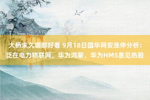 大桥未久哪部好看 9月18日国华网安涨停分析：泛在电力物联网，华为鸿蒙，华为HMS意见热股