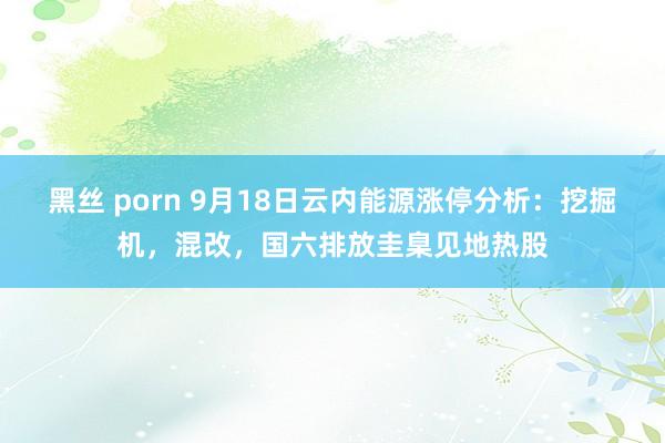 黑丝 porn 9月18日云内能源涨停分析：挖掘机，混改，国六排放圭臬见地热股