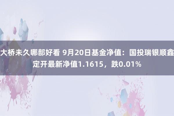 大桥未久哪部好看 9月20日基金净值：国投瑞银顺鑫定开最新净值1.1615，跌0.01%