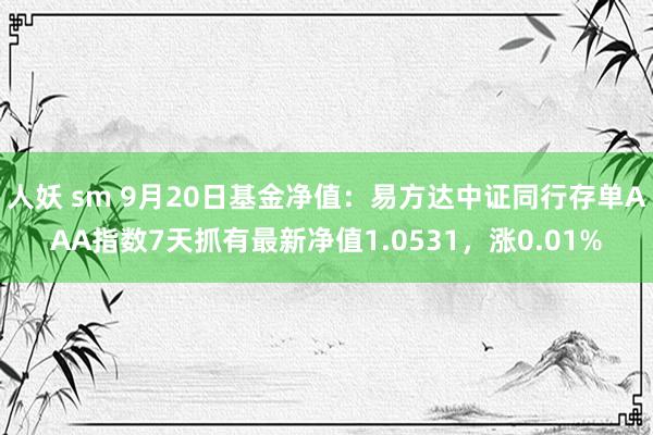 人妖 sm 9月20日基金净值：易方达中证同行存单AAA指数7天抓有最新净值1.0531，涨0.01%