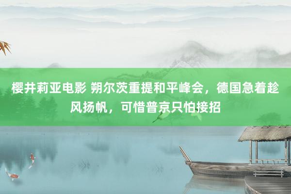 樱井莉亚电影 朔尔茨重提和平峰会，德国急着趁风扬帆，可惜普京只怕接招