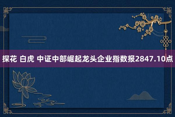 探花 白虎 中证中部崛起龙头企业指数报2847.10点