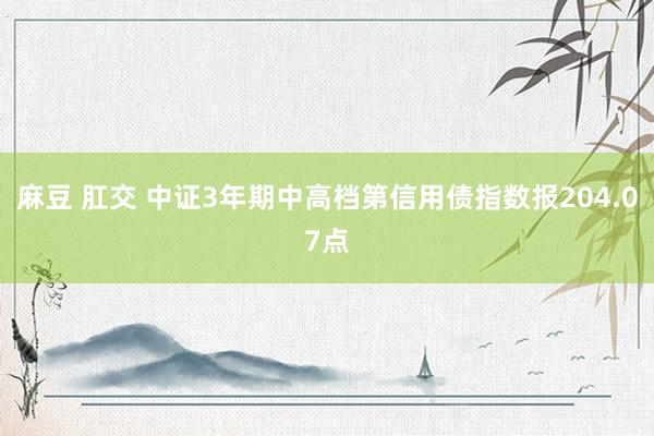 麻豆 肛交 中证3年期中高档第信用债指数报204.07点