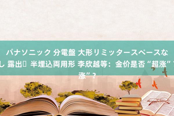 パナソニック 分電盤 大形リミッタースペースなし 露出・半埋込両用形 李欣越等：金价是否“超涨”？