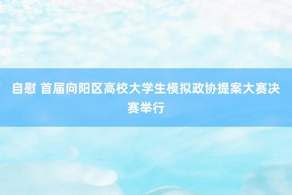 自慰 首届向阳区高校大学生模拟政协提案大赛决赛举行