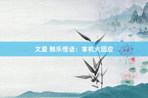 文爱 触乐怪话：掌机大回应