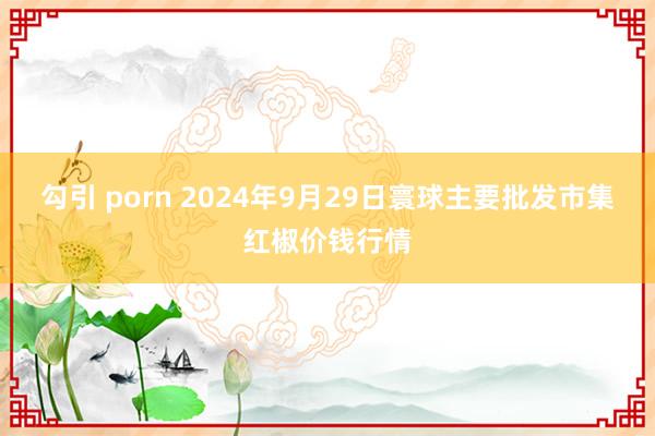 勾引 porn 2024年9月29日寰球主要批发市集红椒价钱行情