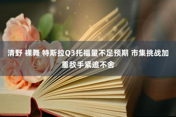 清野 裸舞 特斯拉Q3托福量不足预期 市集挑战加重敌手紧追不舍