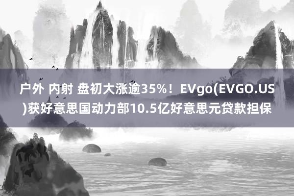 户外 内射 盘初大涨逾35%！EVgo(EVGO.US)获好意思国动力部10.5亿好意思元贷款担保