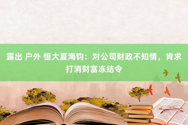 露出 户外 恒大夏海钧：对公司财政不知情，肯求打消财富冻结令