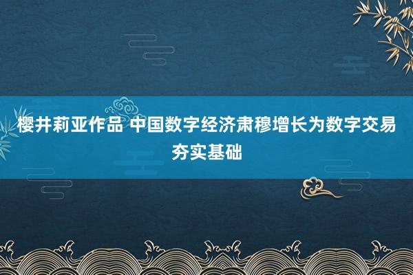 樱井莉亚作品 中国数字经济肃穆增长为数字交易夯实基础