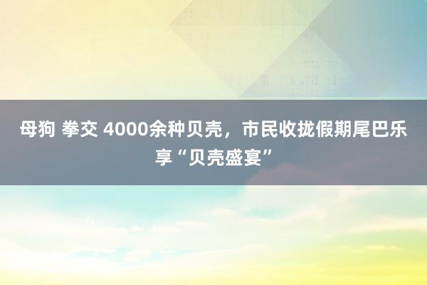 母狗 拳交 4000余种贝壳，市民收拢假期尾巴乐享“贝壳盛宴”