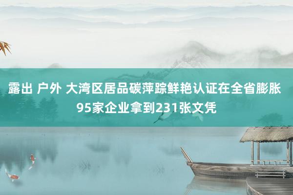 露出 户外 大湾区居品碳萍踪鲜艳认证在全省膨胀 95家企业拿到231张文凭