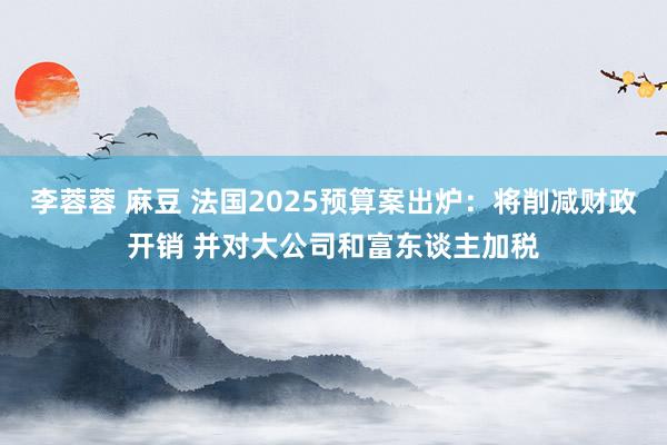 李蓉蓉 麻豆 法国2025预算案出炉：将削减财政开销 并对大公司和富东谈主加税