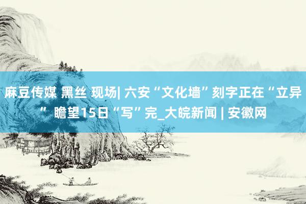 麻豆传媒 黑丝 现场| 六安“文化墙”刻字正在“立异” 瞻望15日“写”完_大皖新闻 | 安徽网