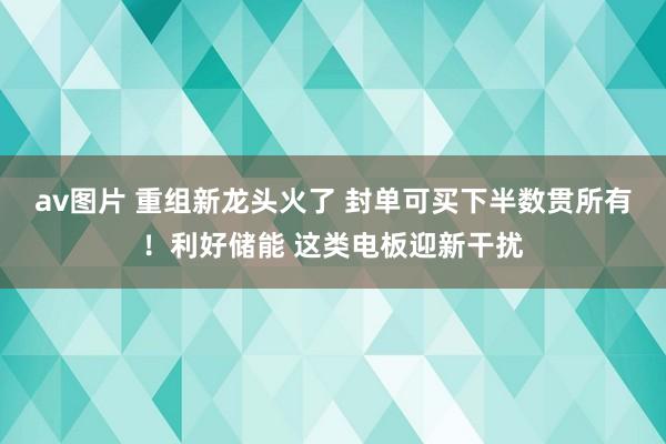 av图片 重组新龙头火了 封单可买下半数贯所有！利好储能 这类电板迎新干扰