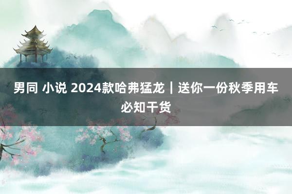 男同 小说 2024款哈弗猛龙｜送你一份秋季用车必知干货