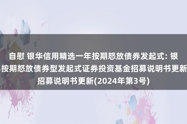 自慰 银华信用精选一年按期怒放债券发起式: 银华信用精选一年按期怒放债券型发起式证券投资基金招募说明书更新(2024年第3号)