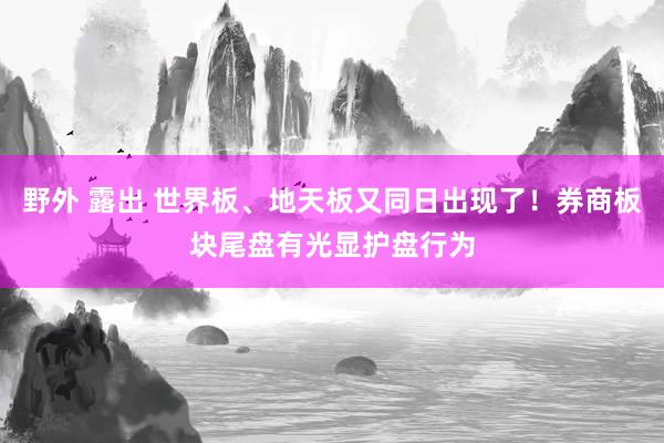 野外 露出 世界板、地天板又同日出现了！券商板块尾盘有光显护盘行为