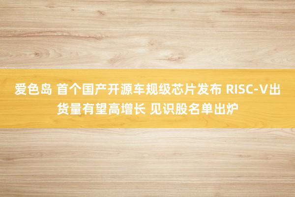 爱色岛 首个国产开源车规级芯片发布 RISC-V出货量有望高增长 见识股名单出炉