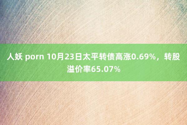 人妖 porn 10月23日太平转债高涨0.69%，转股溢价率65.07%