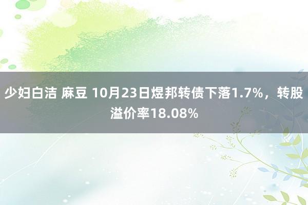 少妇白洁 麻豆 10月23日煜邦转债下落1.7%，转股溢价率18.08%