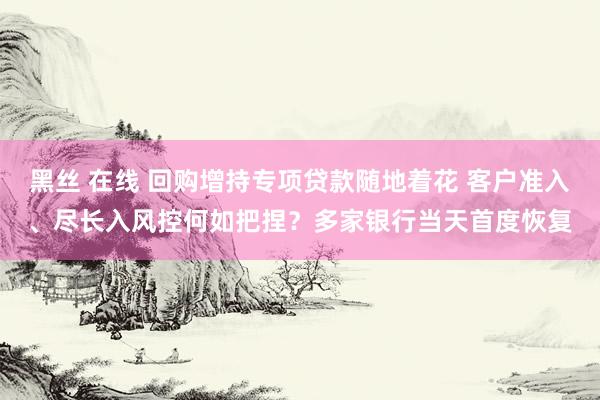 黑丝 在线 回购增持专项贷款随地着花 客户准入、尽长入风控何如把捏？多家银行当天首度恢复