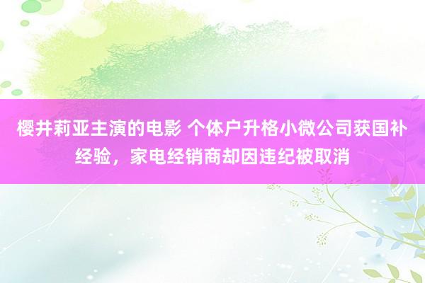 樱井莉亚主演的电影 个体户升格小微公司获国补经验，家电经销商却因违纪被取消