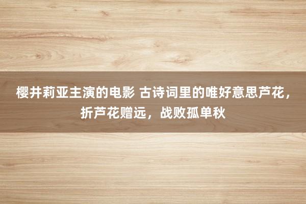 樱井莉亚主演的电影 古诗词里的唯好意思芦花，折芦花赠远，战败孤单秋