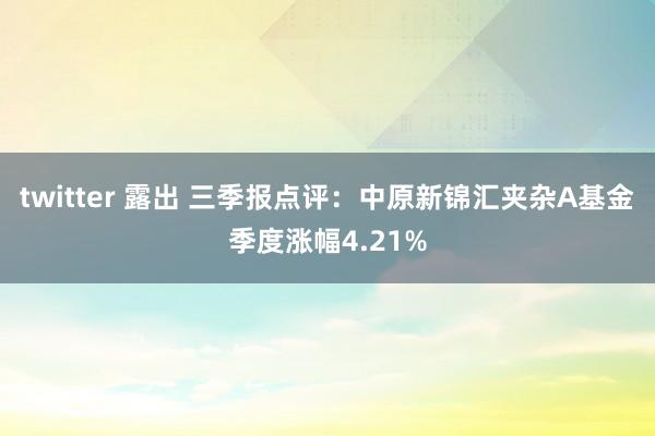 twitter 露出 三季报点评：中原新锦汇夹杂A基金季度涨幅4.21%