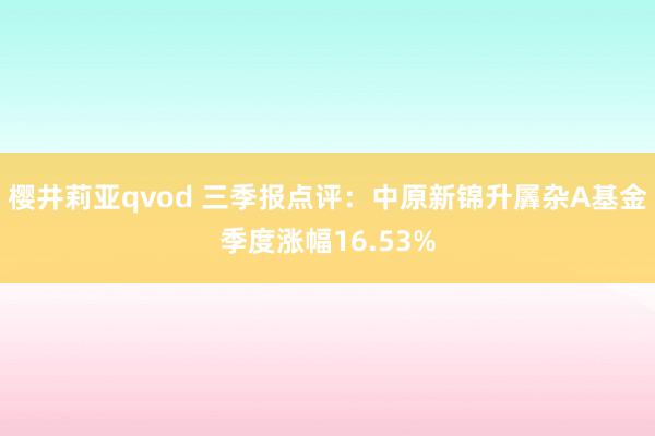 樱井莉亚qvod 三季报点评：中原新锦升羼杂A基金季度涨幅16.53%